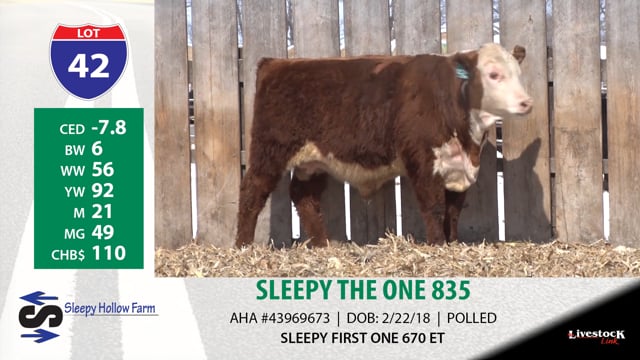 Lot #42 - SLEEPY THE ONE 835