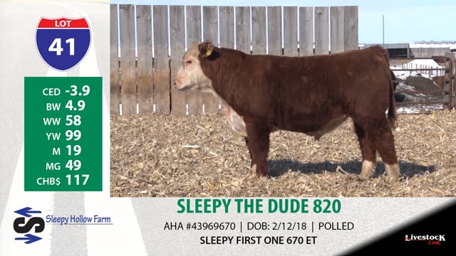 Lot #41 - SLEEPY THE DUDE 820