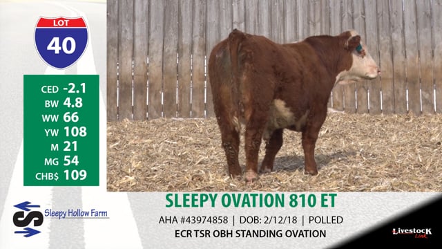 Lot #40 - SLEEPY OVATION 810 ET