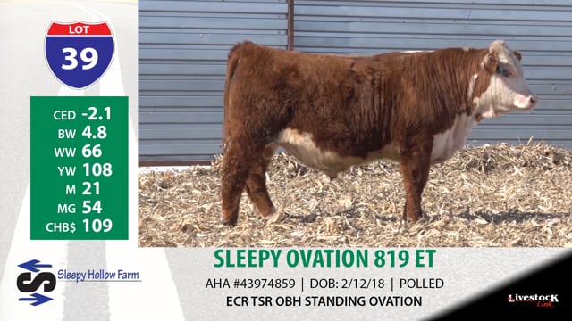 Lot #39 - SLEEPY OVATION 819 ET