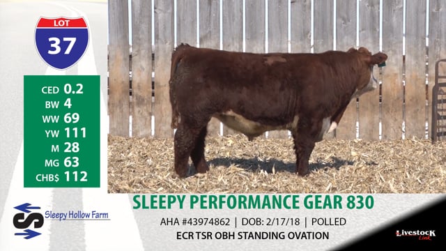 Lot #37 - SLEEPY PERFORMANCE GEAR 830
