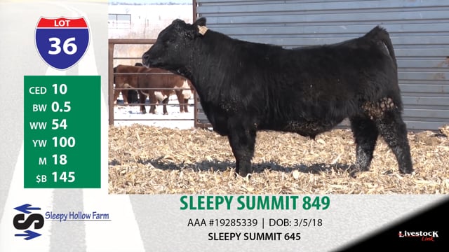 Lot #36 - SLEEPY SUMMIT 849