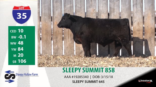 Lot #35 - SLEEPY SUMMIT 858