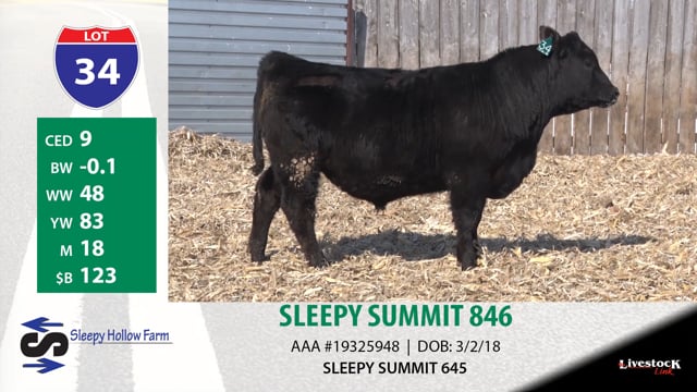 Lot #34 - SLEEPY SUMMIT 846
