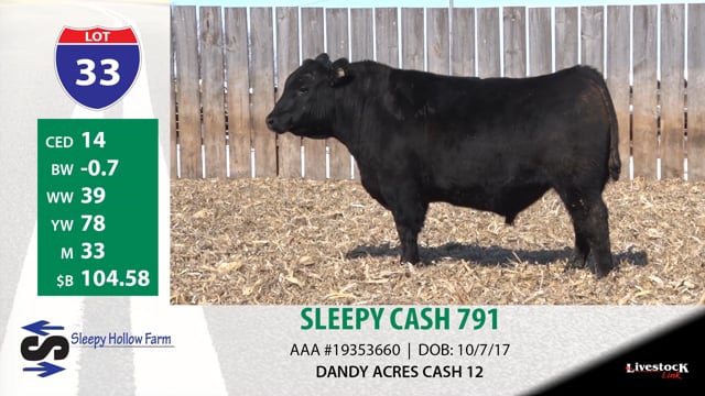 Lot #33 - SLEEPY CASH 791