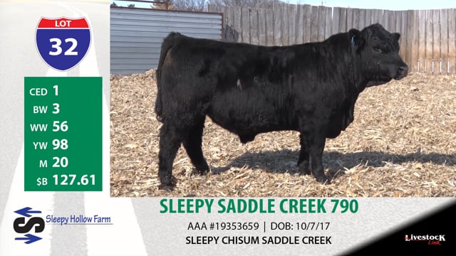 Lot #32 - SLEEPY SADDLE CREEK 790