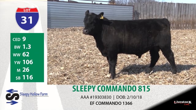 Lot #31 - SLEEPY COMMANDO 815