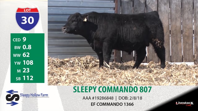 Lot #30 - SLEEPY COMMANDO 807