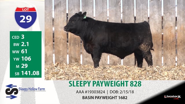 Lot #29 - SLEEPY PAYWEIGHT 828