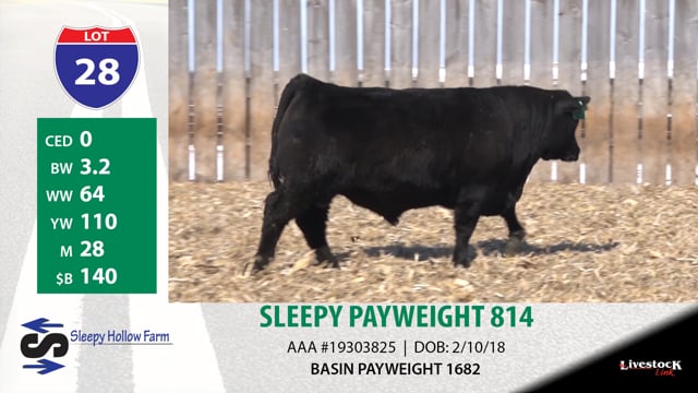 Lot #28 - SLEEPY PAYWEIGHT 814