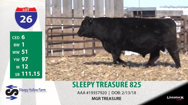 Lot #26 - SLEEPY TREASURE 824