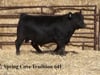 Lot 2:  Spring Cove Tradition 64F