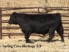 Lot 3:  Spring Cove Heritage 53F