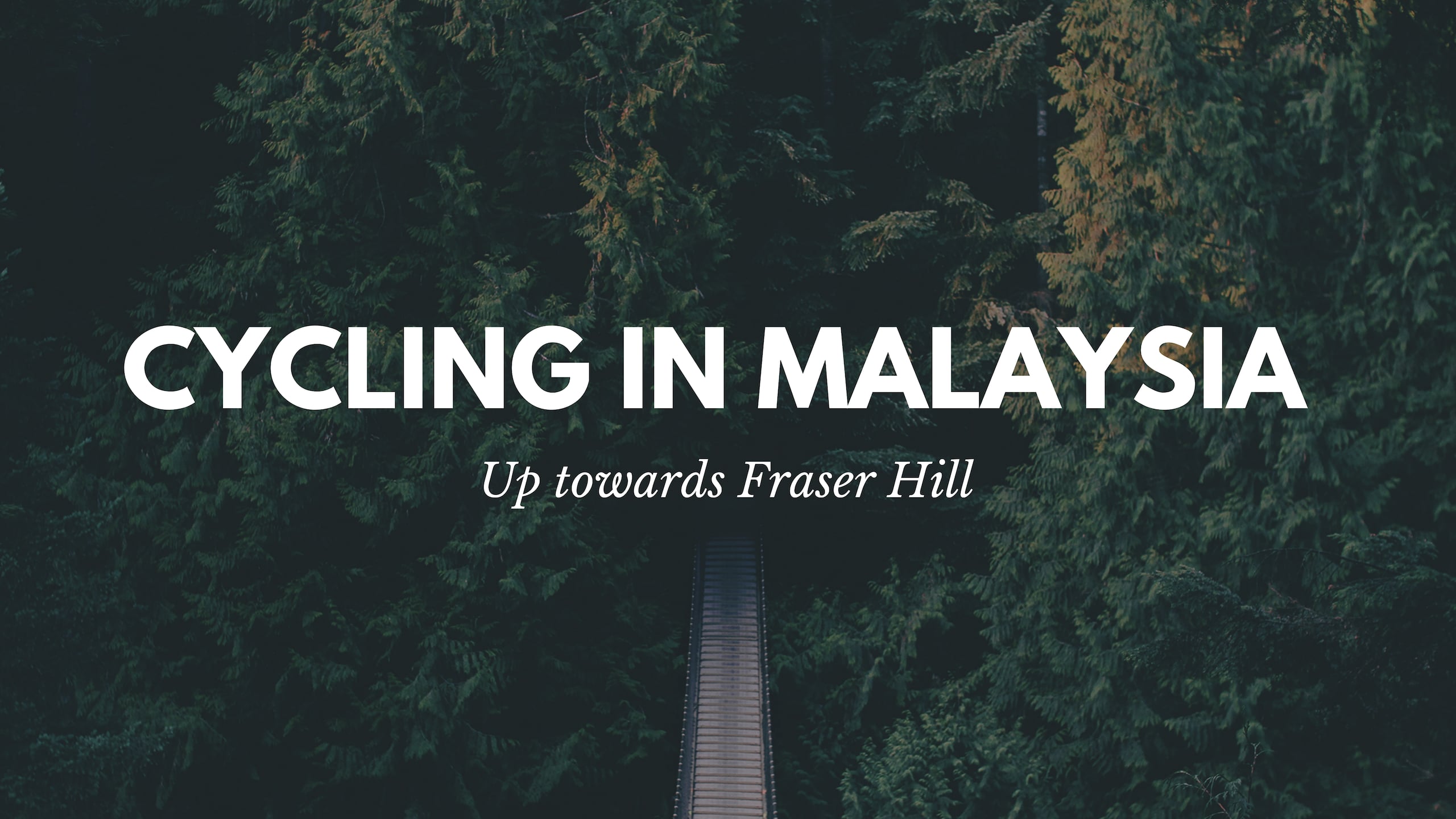 Cycling In Malaysia: Cool Routes To Escape The City Heat u2014 The 