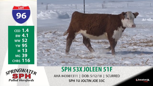 Lot #96 - SPH 53X JOLEEN 51F