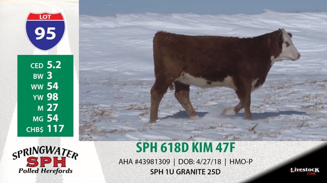 Lot #95 - SPH 618D KIM 47F
