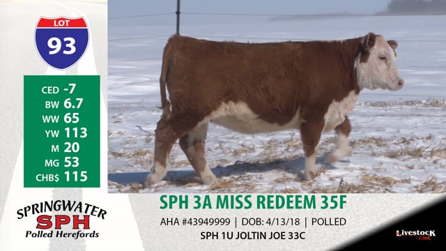 Lot #93 - SPH 3A MISS REDEEM 35F