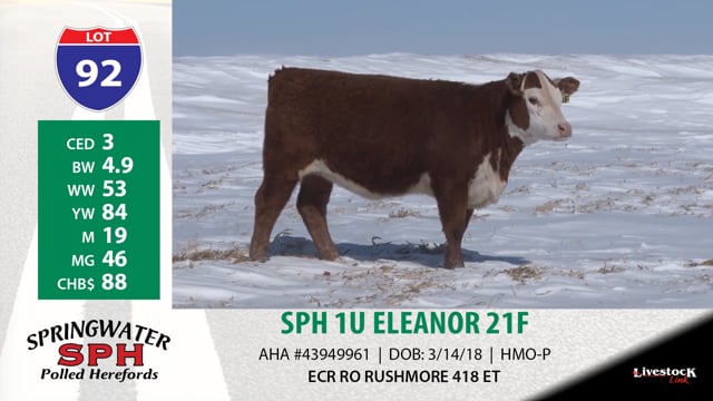 Lot #92 - SPH 1U ELEANOR 21F