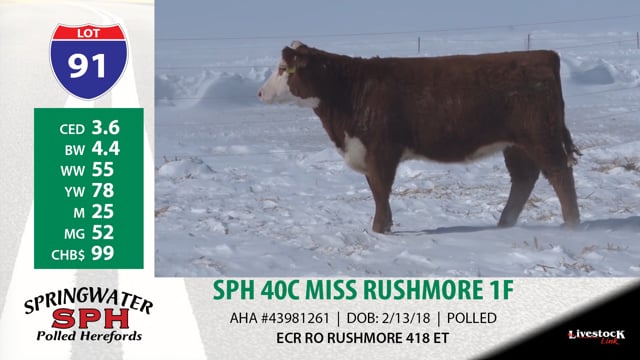 Lot #91 - SPH 40C MISS RUSHMORE 1F