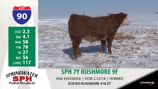 Lot #90 - SPH 7Y RUSHMORE 9F