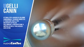Nuova Contec CANIN 01: Ugelli di pulizia e lavaggio