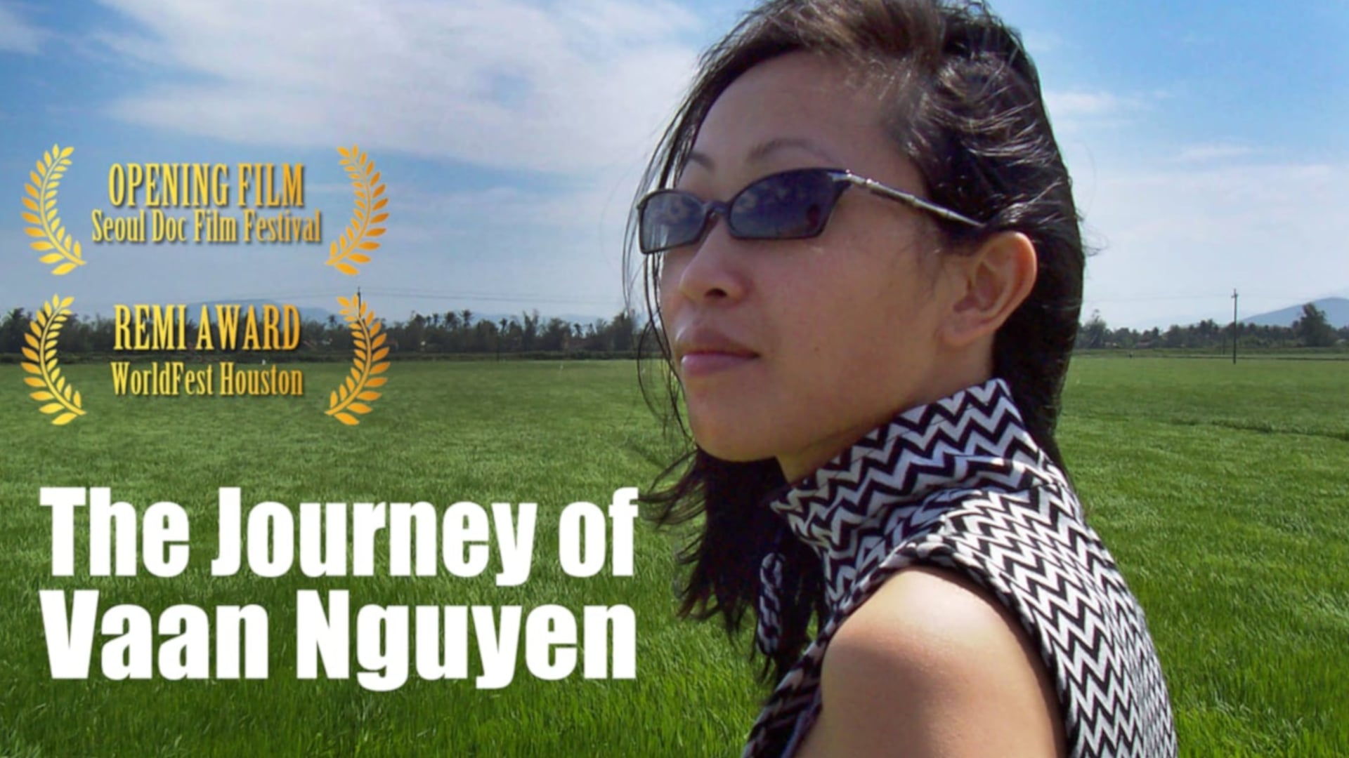 The Journey of Vaan Nguyen