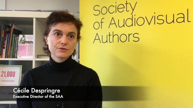 Cécile Despringre, Executive Director of the SAA