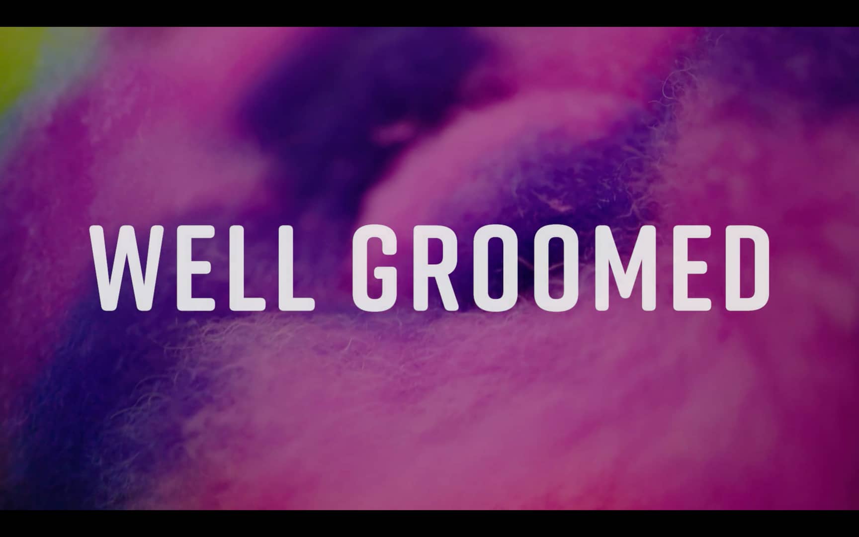 well-groomed-on-vimeo