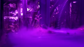 Mitigation of Shock - Customer Success Story