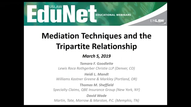 Mediation Techniques and the Tripartite Relationship Video