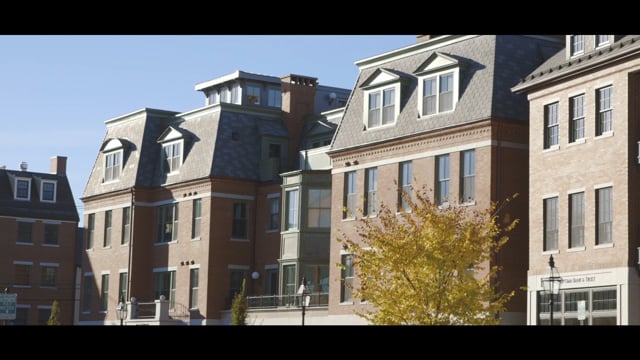 gallery video image