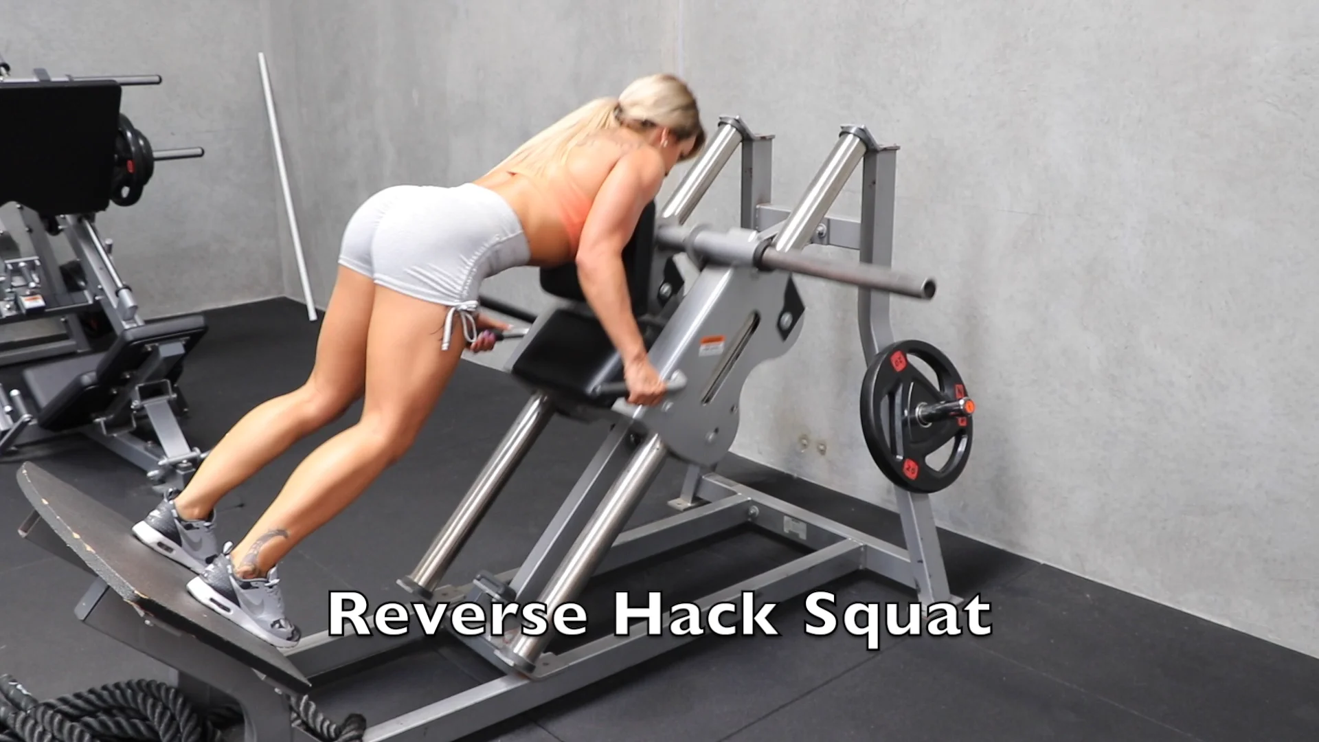 reverse hack squat
