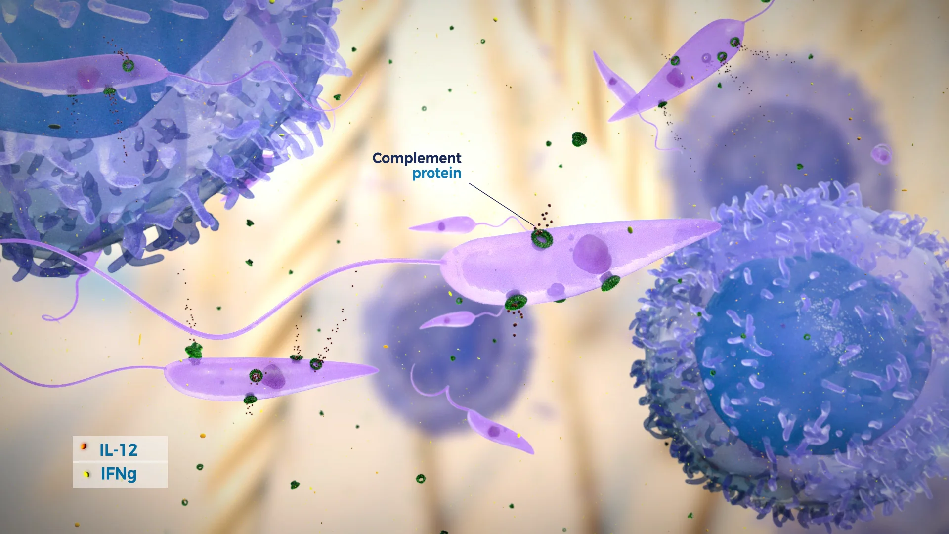 3DforScience - Visuals for Bio & Health - Portfolio - LetiFend ...