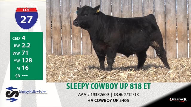 Lot #27 - SLEEPY COWBOY UP 818 ET