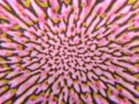 This Will Destroy You - Lie Down In The Light