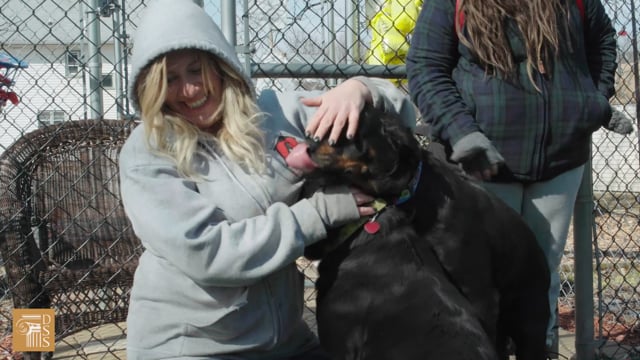 Ramapo-Bergen Animal Refuge