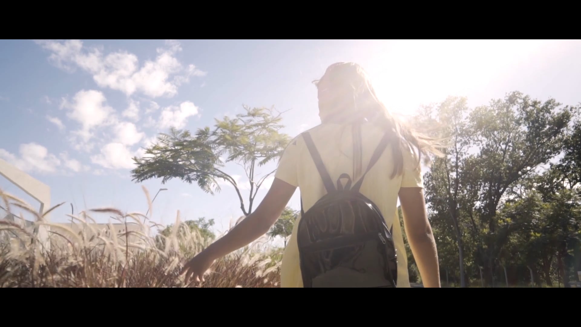 Avionets - Ruinas