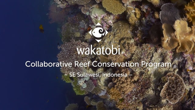 Wakatobi Collaborative Reef Conservation Program
