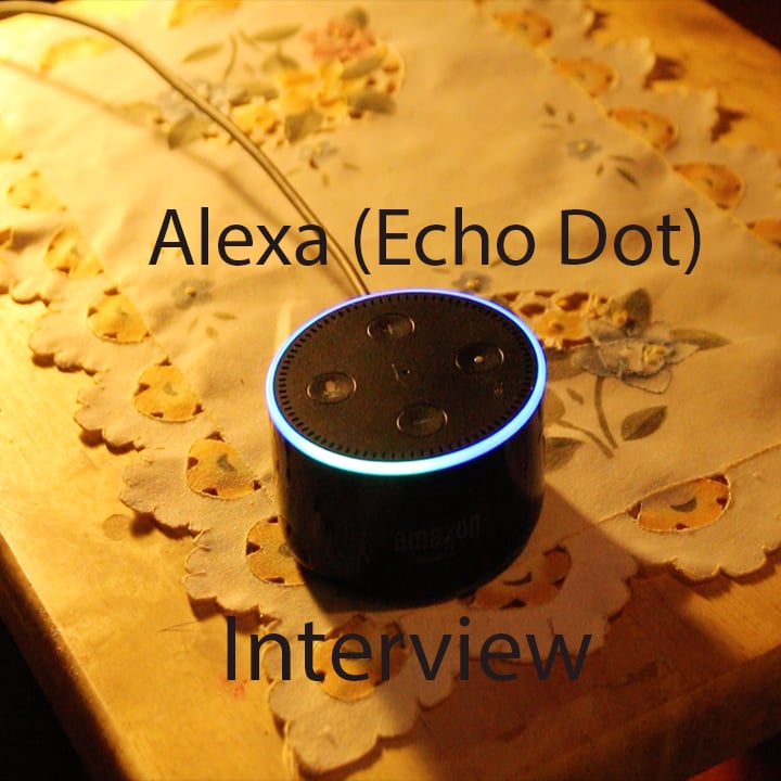 Portrait Project - Echo Interview on Vimeo