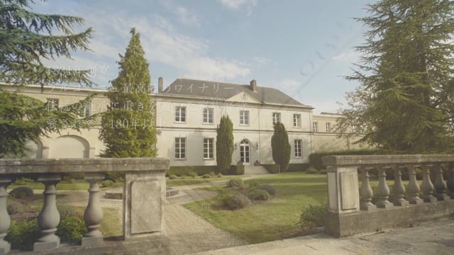 【WEB】KIRIN Mercian SPECIAL MOVIE「ALBERT BICHOT-CHATEAU RAYYSON まとめ