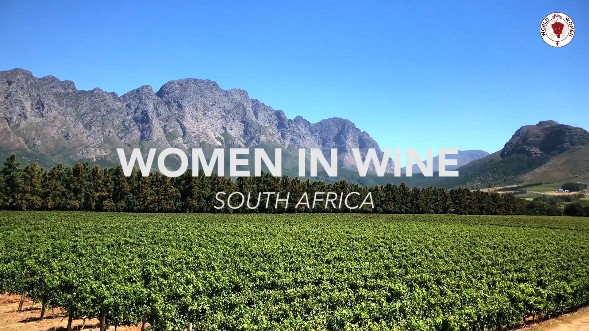 Women in the Wine Industry - South Africa