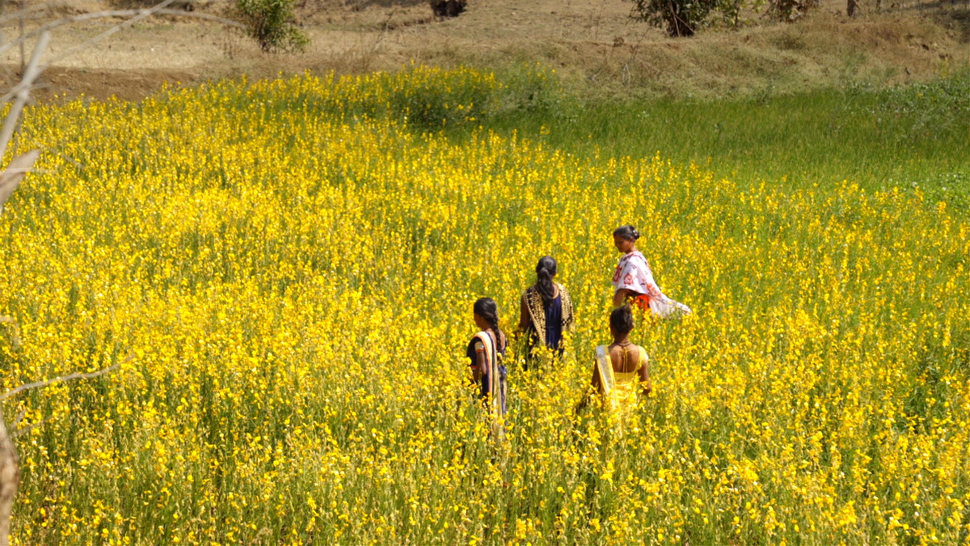 Not Your Average Beekeepers