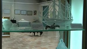 Rutes d'estiu al Museu de l'anxova i la sal