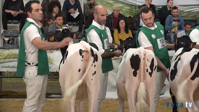 Xatas de 6 a 9 meses