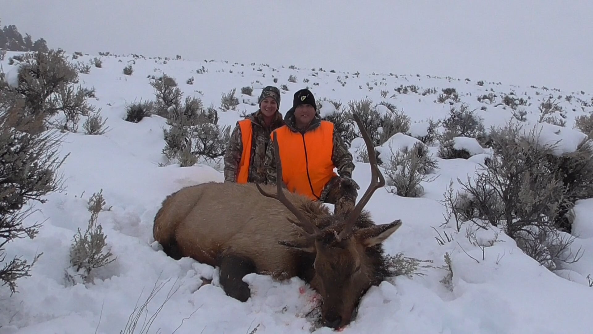 Joseph Guercio (FL) - Stockton Outfitters - Elk & Mule Deer Hunting On ...