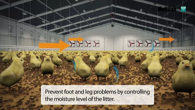 Multifan basket fans for optimal air circulation - Vostermans Ventilation