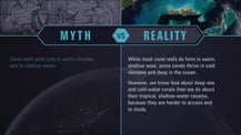 A simple chart with two columns, each with a header image: a mythical drawing on the left and a bird's-eye view of coral reefs on the right. The "Myth vs. Reality" logo appears toward the chart's top, with "Myth" positioned at the top of the left column, and "Reality" positioned at the top of the right column. Both columns have text.