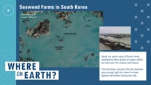 Against a blue background is a satellite image of seaweed farms with labeled features. Just above is text that reads "Seaweed Farms in South Korea." Toward the right is a smaller image of seaweed farms. Just below is a white box with text. Toward the bottom left corner is the "Where on Earth?" logo.