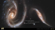 Image of two interacting galaxies. The larger one is on the left and the smaller one is on the right. Text toward the bottom reads "In the larger galaxy, the outermost spiral arm has been yanked askew." A small Hubble icon is in the bottom left corner. Text in the bottom right corner reads "Hubble Space Telescope. Arp 273."