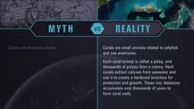 A simple chart with two columns, each with a header image: a mythical drawing on the left and a bird's-eye view of coral reefs on the right. The "Myth vs. Reality" logo appears toward the chart's top, with "Myth" positioned at the top of the left column, and "Reality" positioned at the top of the right column. Both columns have text.